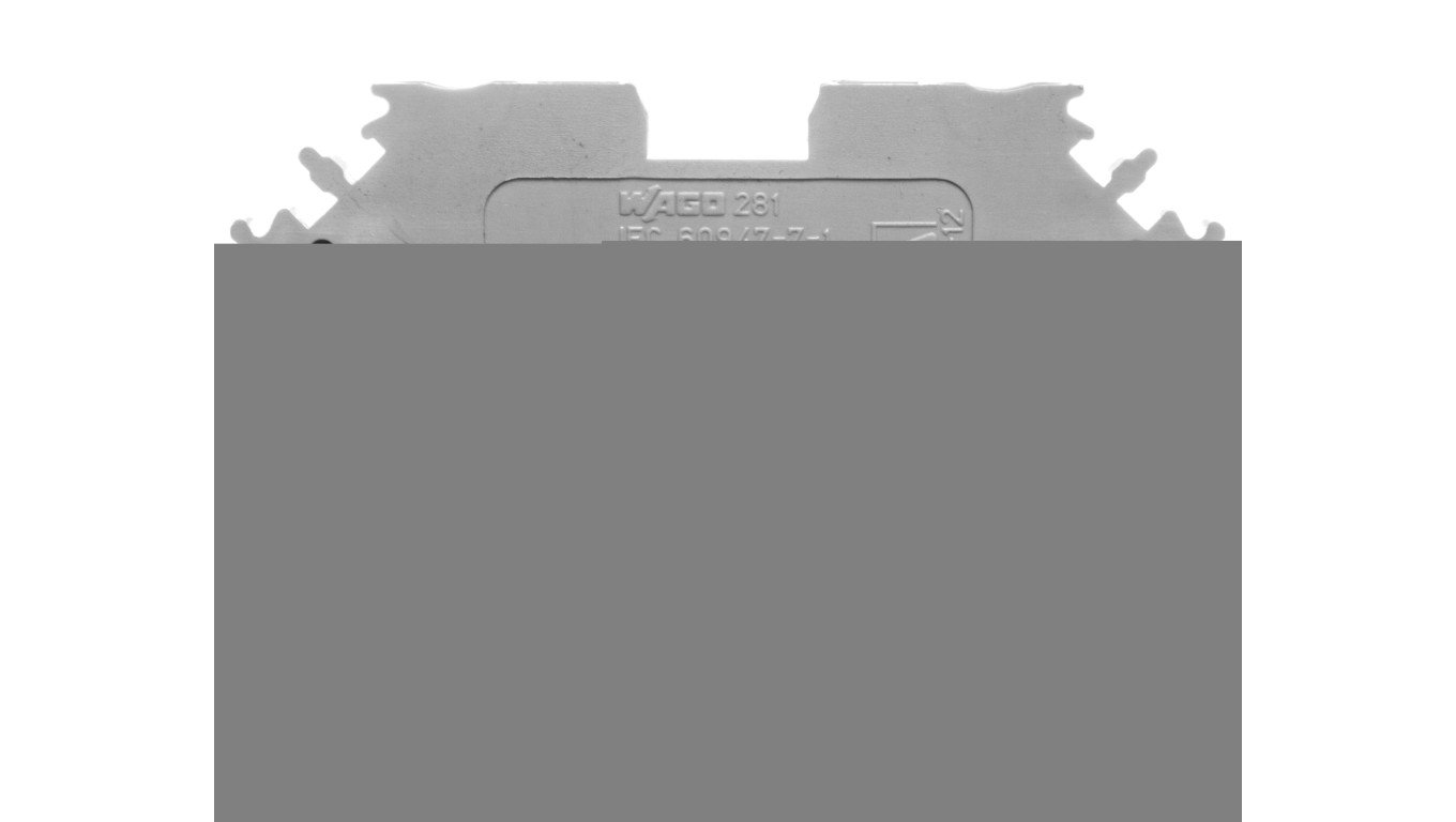 Złączka szynowa 2-przewodowa 4mm2 szara 281-601